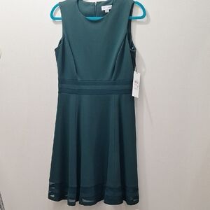 Calvin Klein Dark Green Dress Size 10